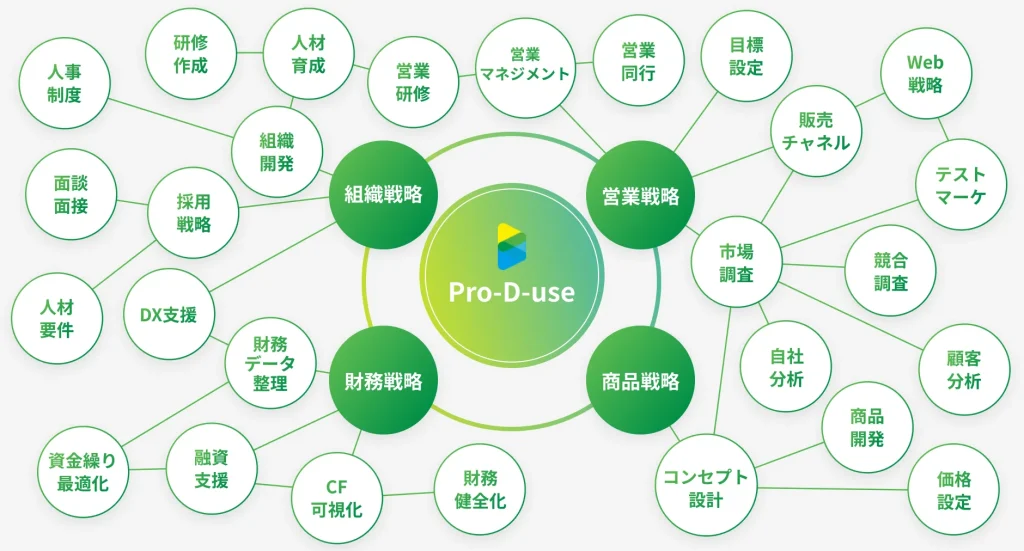 株式会社Pro-D-useが支援できる幅（現場に入り込むから、多面的な支援が可能）